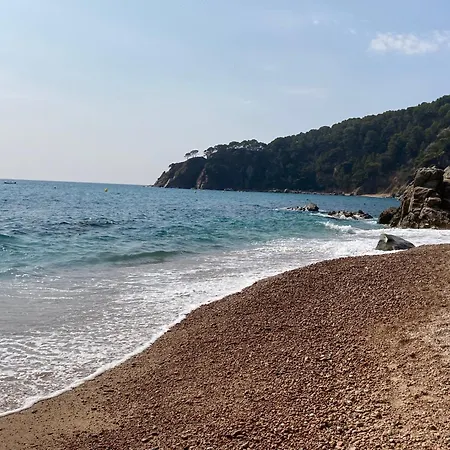 Apartamento Bertur Cala Llevado