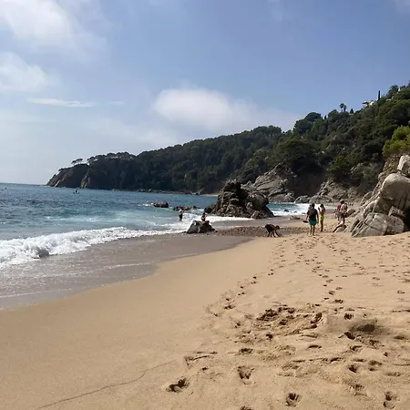 Bertur Cala Llevado アパート *